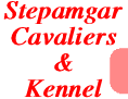 Stepamgar