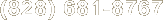 (828) 681-8767